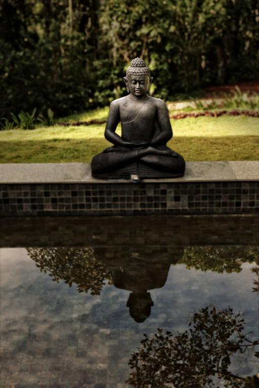 The Windflower Resort & Spa, Vythiri Vajanad Kültér fotó